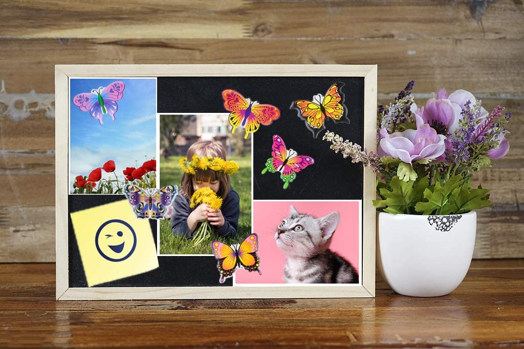 MORCART 6pcs Butterfly Fridge Magnets