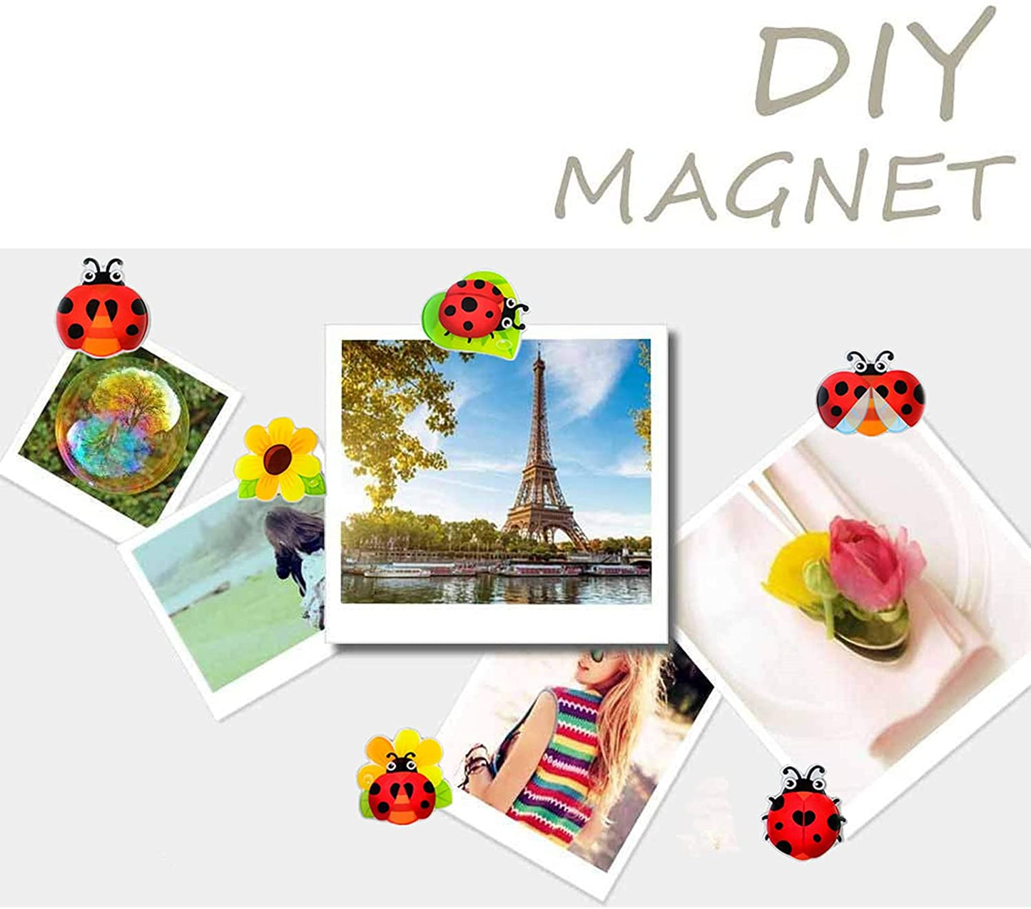 MORCART Ladybug Refrigerator Magnets