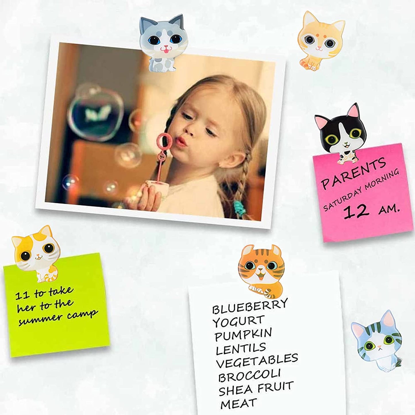 MORCART Cats Refrigerator Magnets