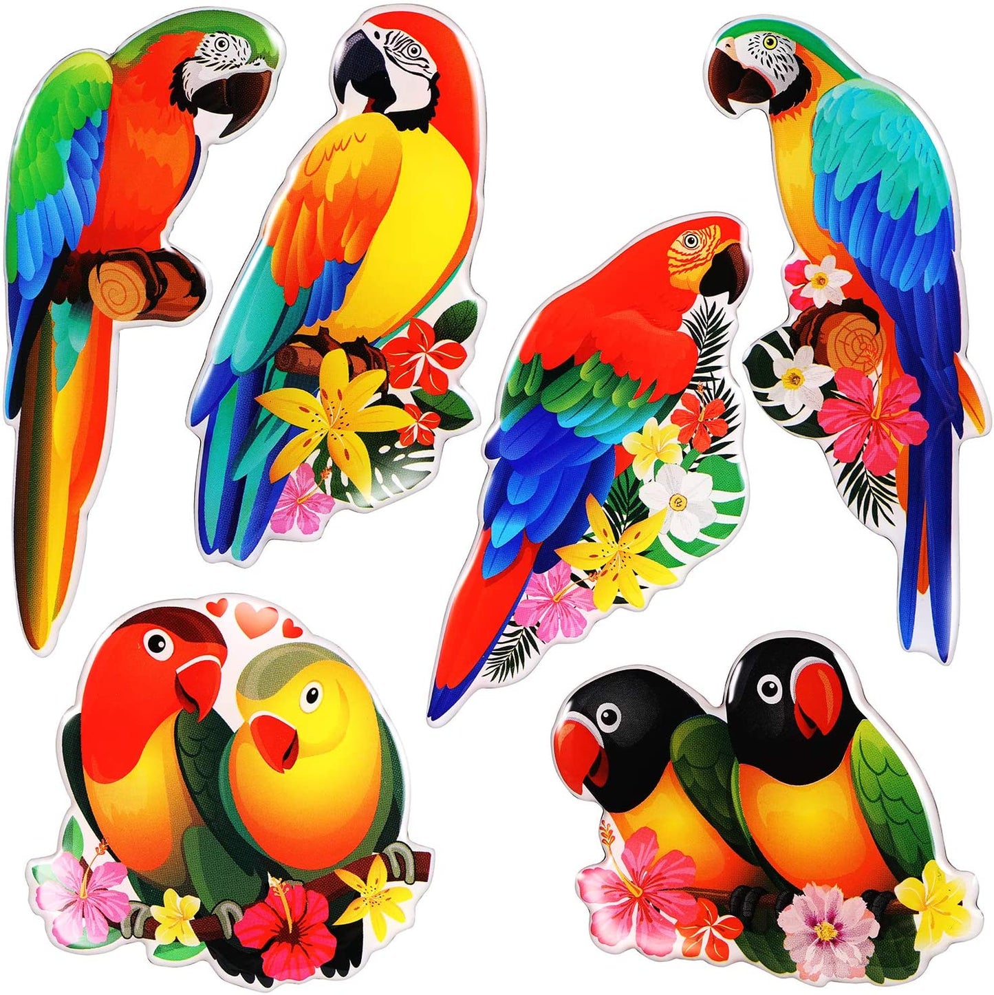 MORCART Parrot Magnets