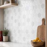 Grey & White Hexagon