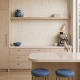 Shellcap Ivory