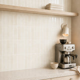 Shellcap Ivory