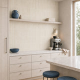Shellcap Ivory