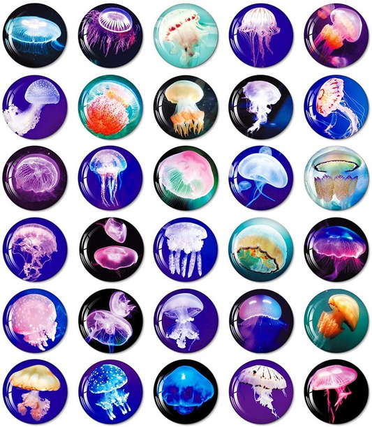 MORCART 30pcs Jellyfish Sea Life Fridge Magnets
